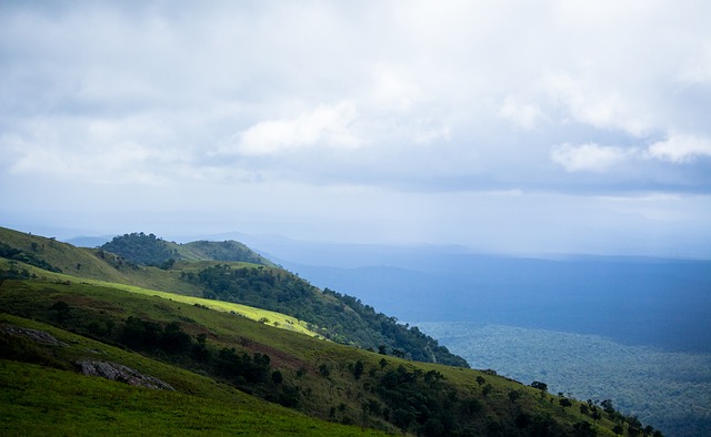 央视直播乒乓球混团世界杯，赛程过半，中日两国保持全胜，其他国家呢？附赛程