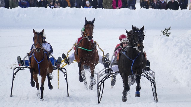 詹姆斯的评 詹姆斯的评