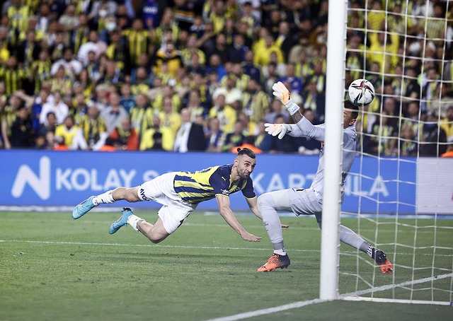 这正是戴维 这正是戴维