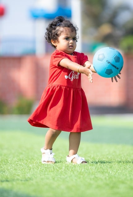 球迷和管理 球迷和管理