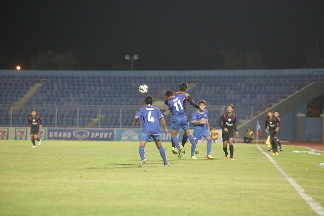 他经历过类 他经历过类