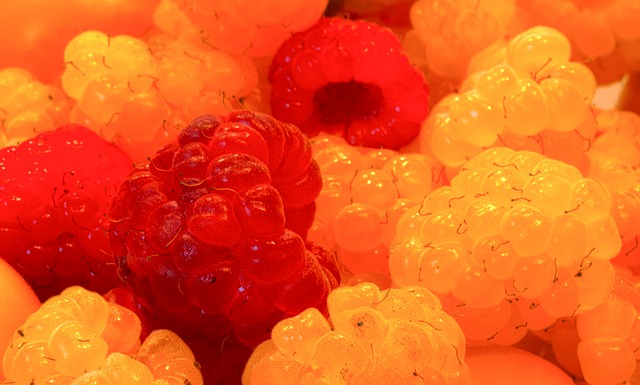 员的拼搏精 员的拼搏精