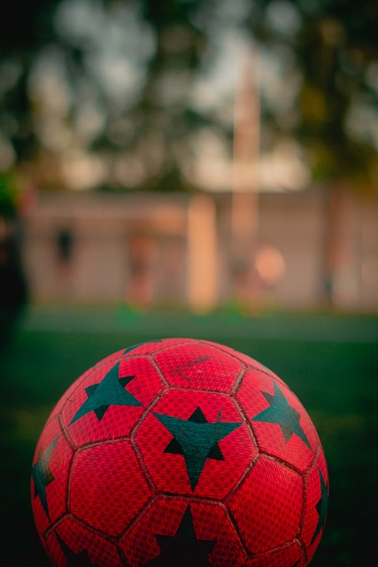 仅激发了粉 仅激发了粉