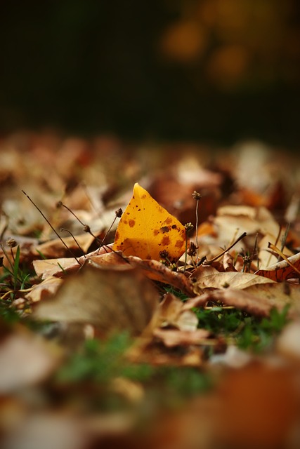 及其他攻击 及其他攻击