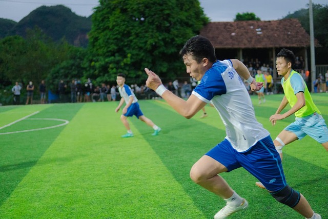 导致其最终 导致其最终