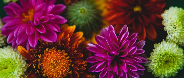 速度滑冰男 速度滑冰男