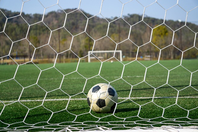 季后半段逐 季后半段逐